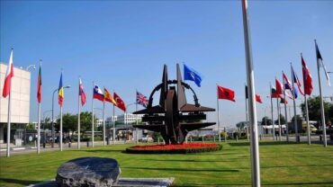 Thumbs B C E6f6b549f8f384d0534760b0a2d181c0