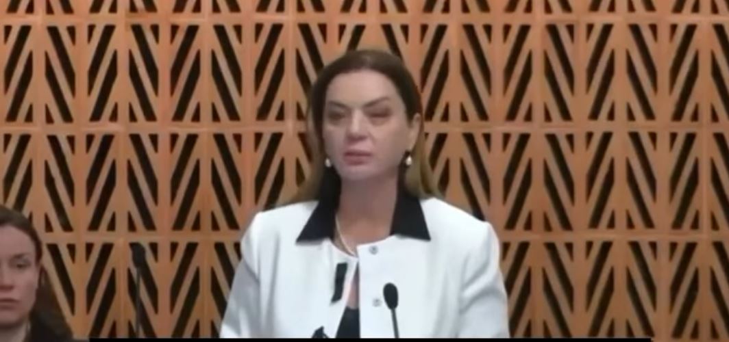 Rezolutë kundër dhunë ndaj grave në politikë  Vokshi në Asamblenë e Këshillit të Europës  Rama  Balla dhe çdo zyrtar që denigr   