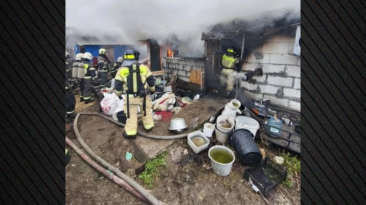 Zjarri që la 200 qen të vdekur: Pse ndërtesa u bë varrezë për qentë e vegjël?
