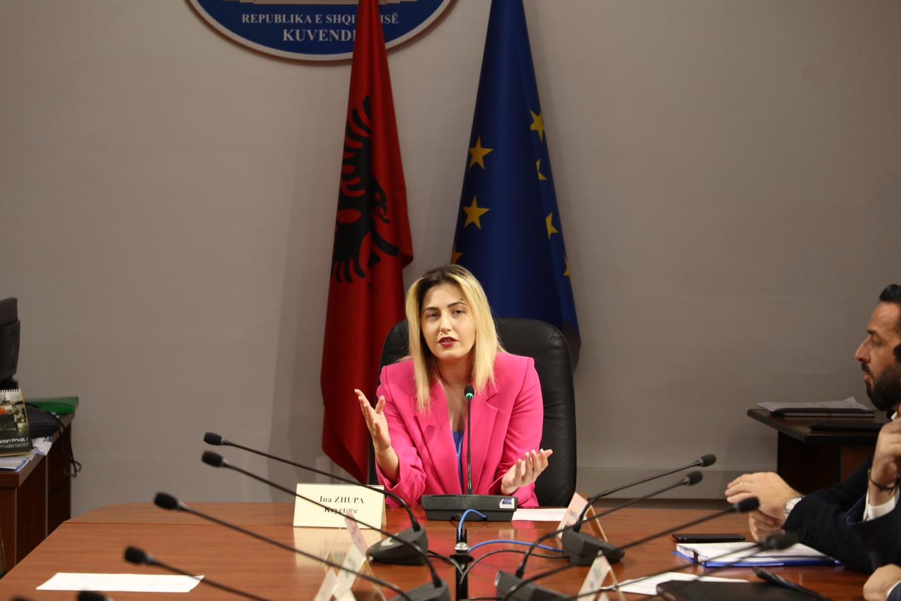 Dëgjesa me artistët  Ina Zhupa  Meritojnë njohje të titujve akademik dhe lejimin e avancimit në karrierë