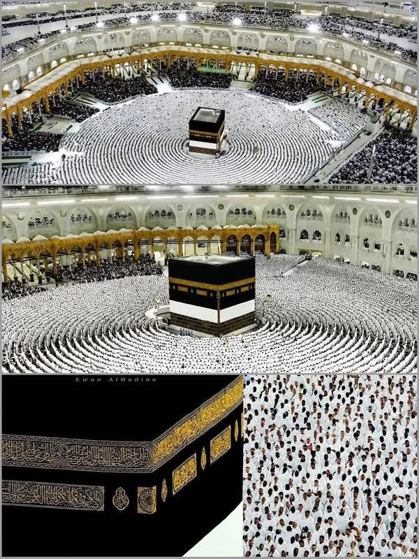 foto galeri 