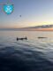 Img 20260506 Wa0001 960x1280