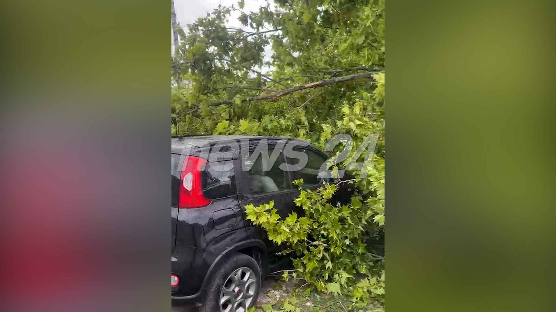 Moti i keq në Vlorë  Era e fortë rrëzon pemën mbi automjetet e parkuara  VIDEO 