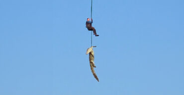 Crocodile Maketa