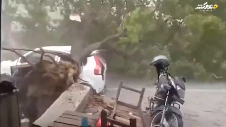 India Plummires