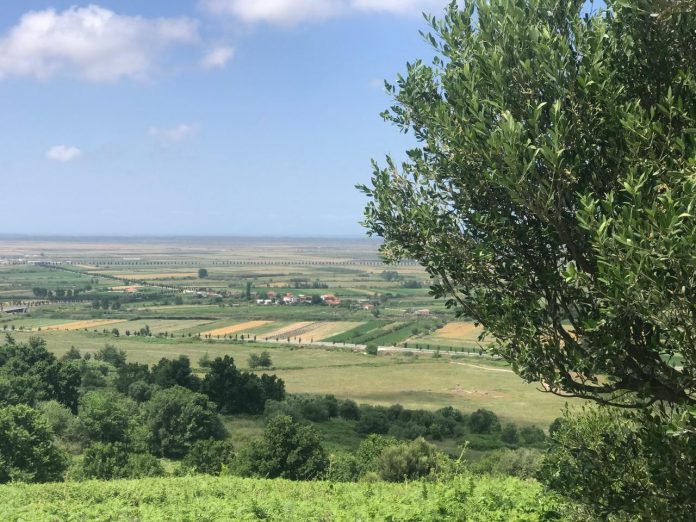 Parashikimi i motit për sot, 23 maj 2026