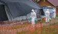 Ugada Ebola