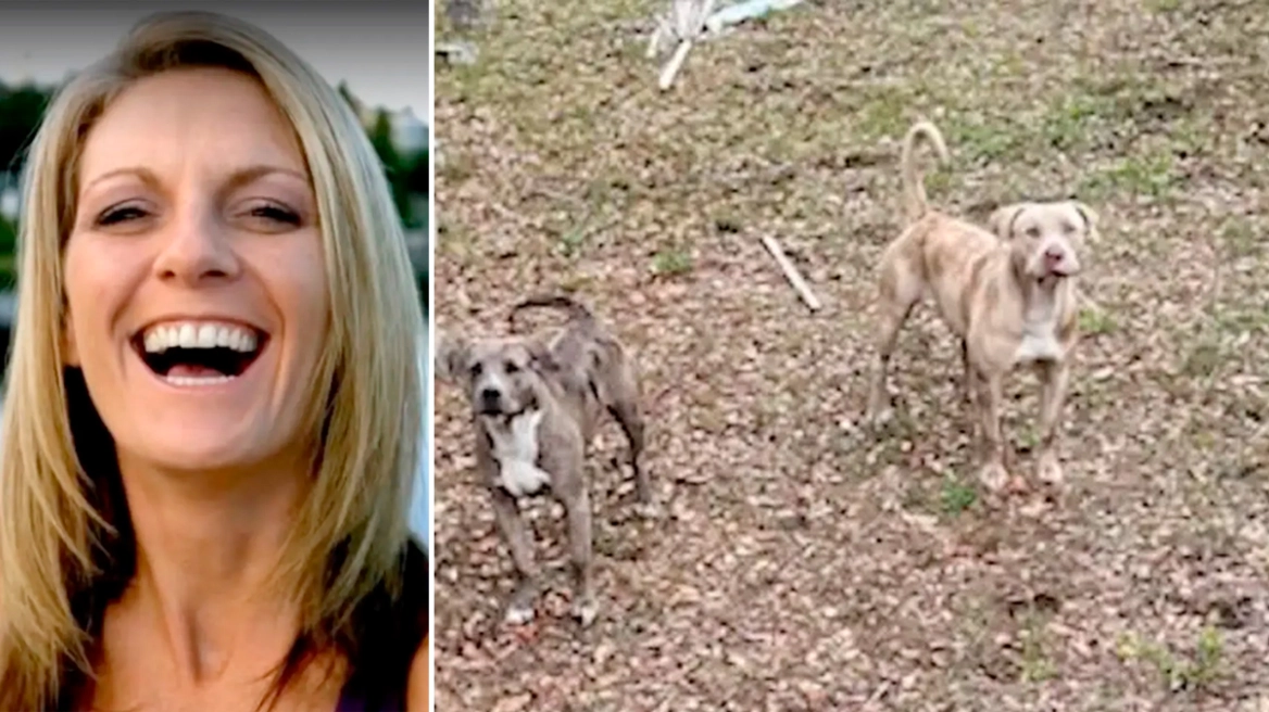 VIDEO  Fundi tragjik  50 vjeçarja tentoi të shpëtonte qenin e saj  por u sulmua nga dy pitbullë  Ndërron jetë në spital