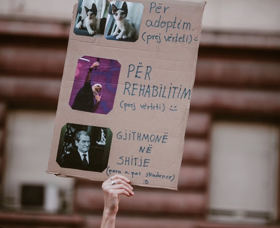 foto galeri 