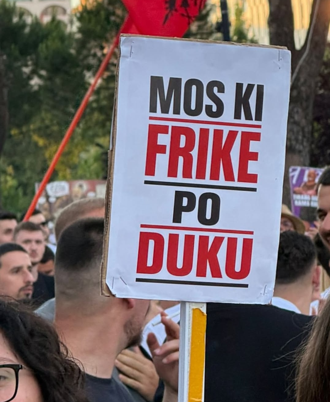 foto galeri 