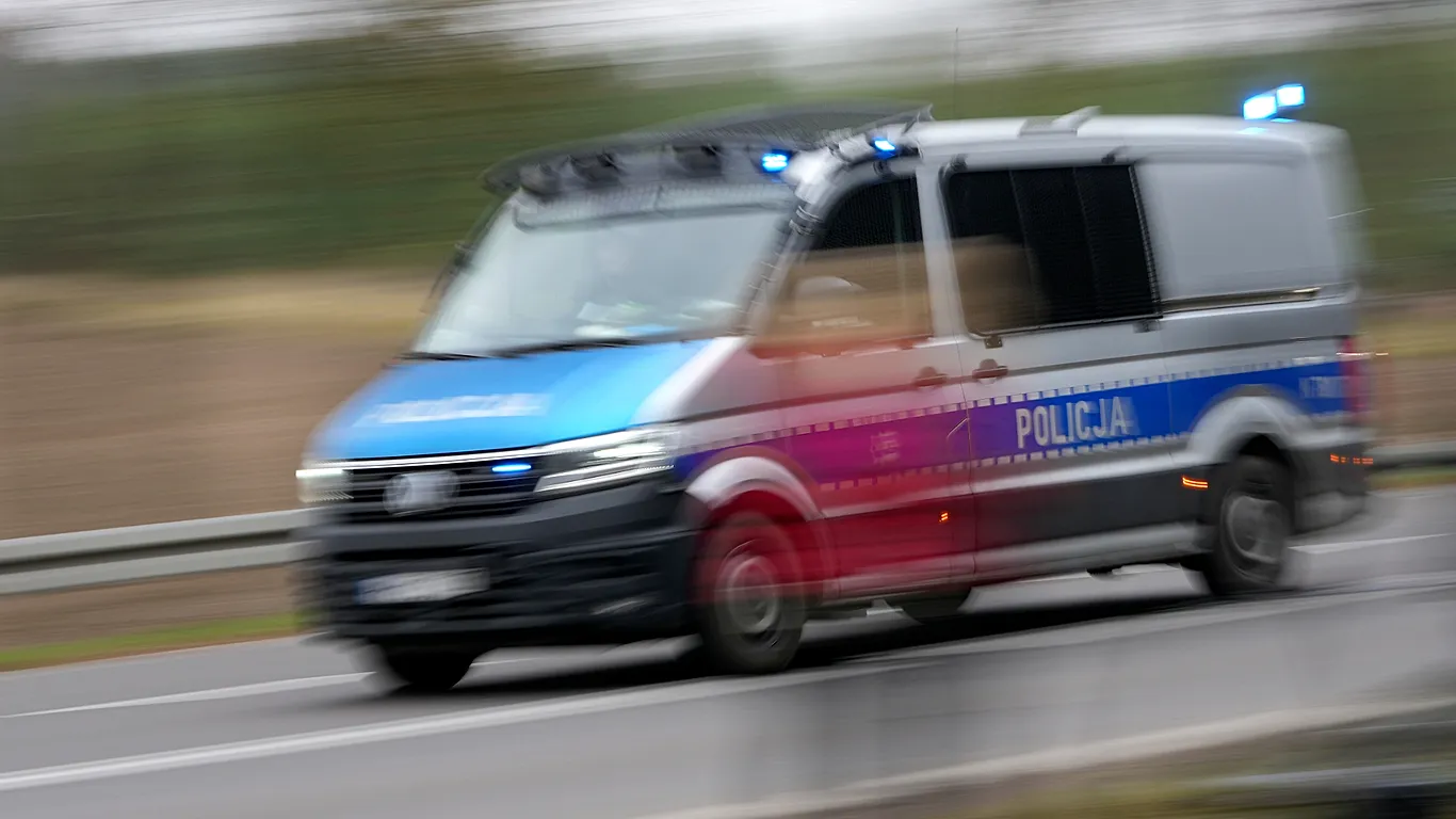 Zbulim makabër në Poloni  Gjenden dhjetëra fetuse njerëzore të varrosura në një tokë private