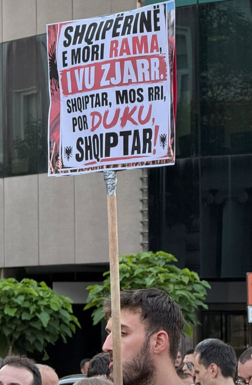 foto galeri 