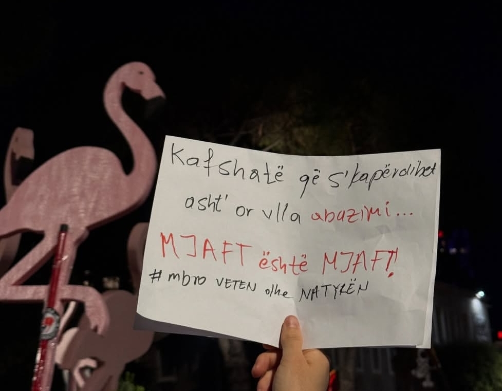 foto galeri 