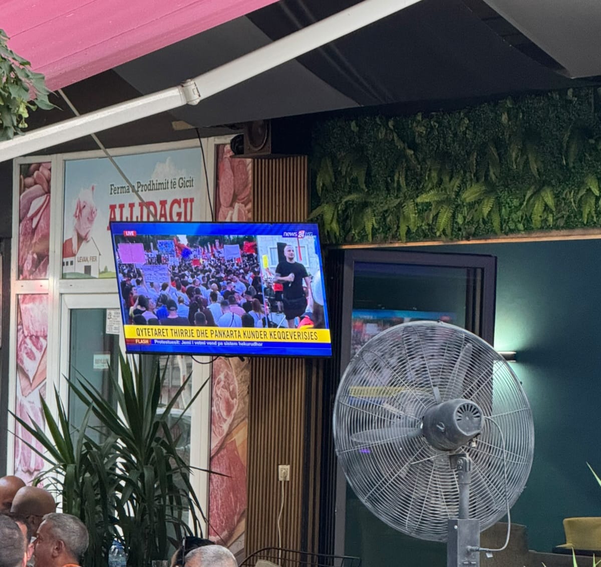 foto galeri 