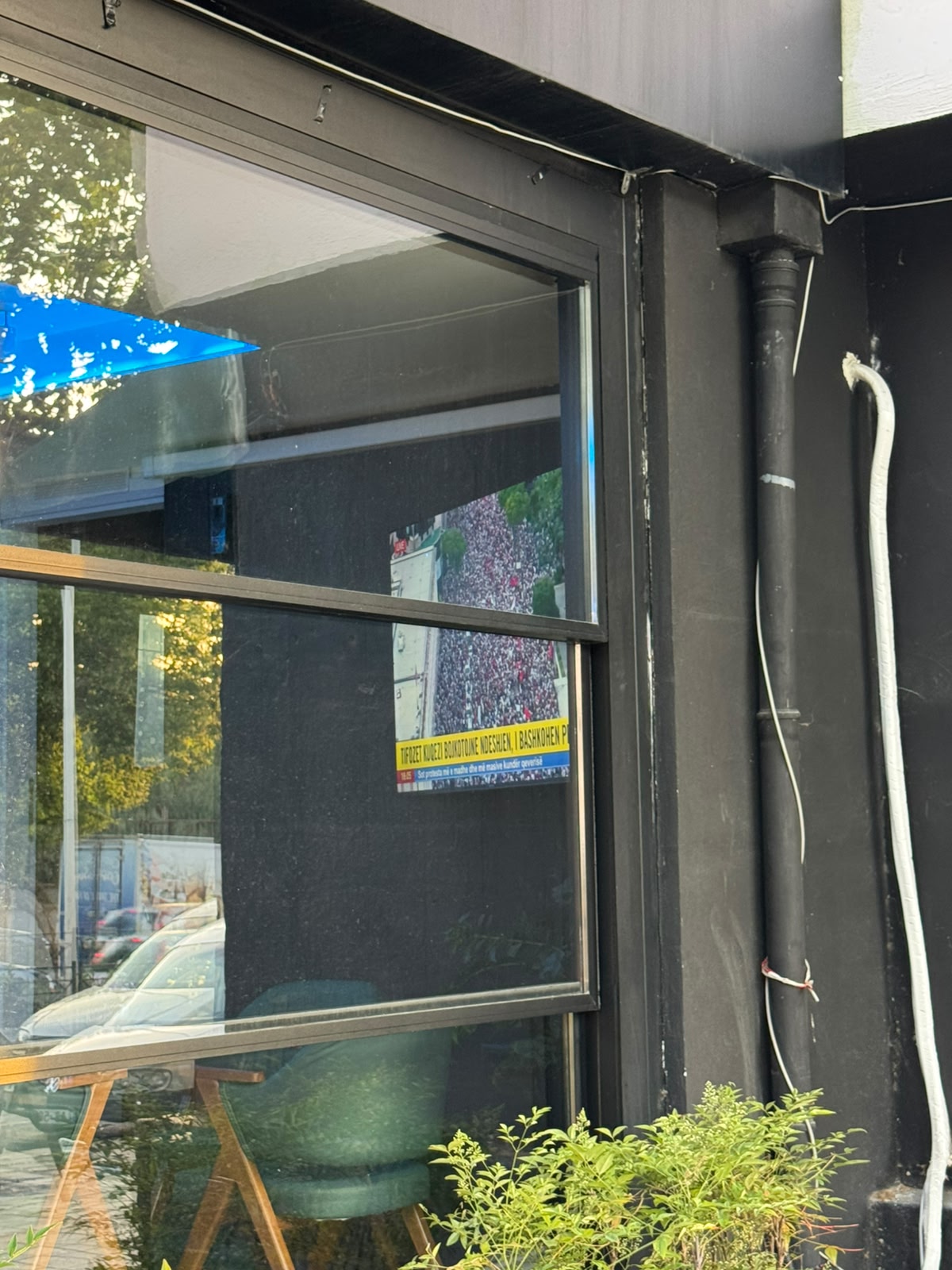 foto galeri 