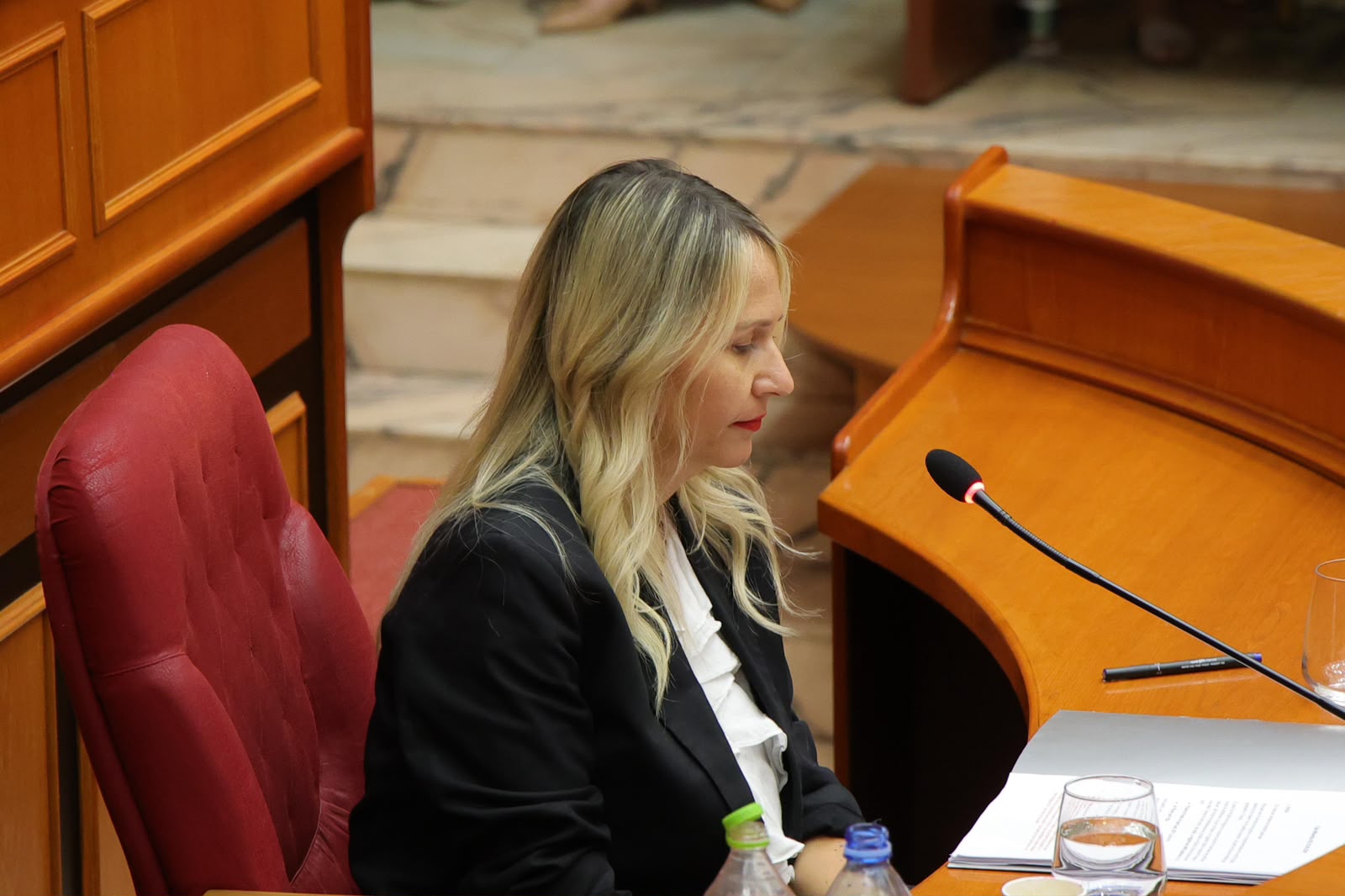Aplikimi për kreditë e buta në Tiranë  Ristani  Ja si do të funksionojë aplikimi për fazën e dytë