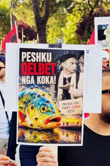 foto galeri 