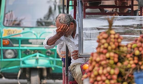 Shifra horror nga nxehtësia në Indi: 30 mijë të vdekur në ve