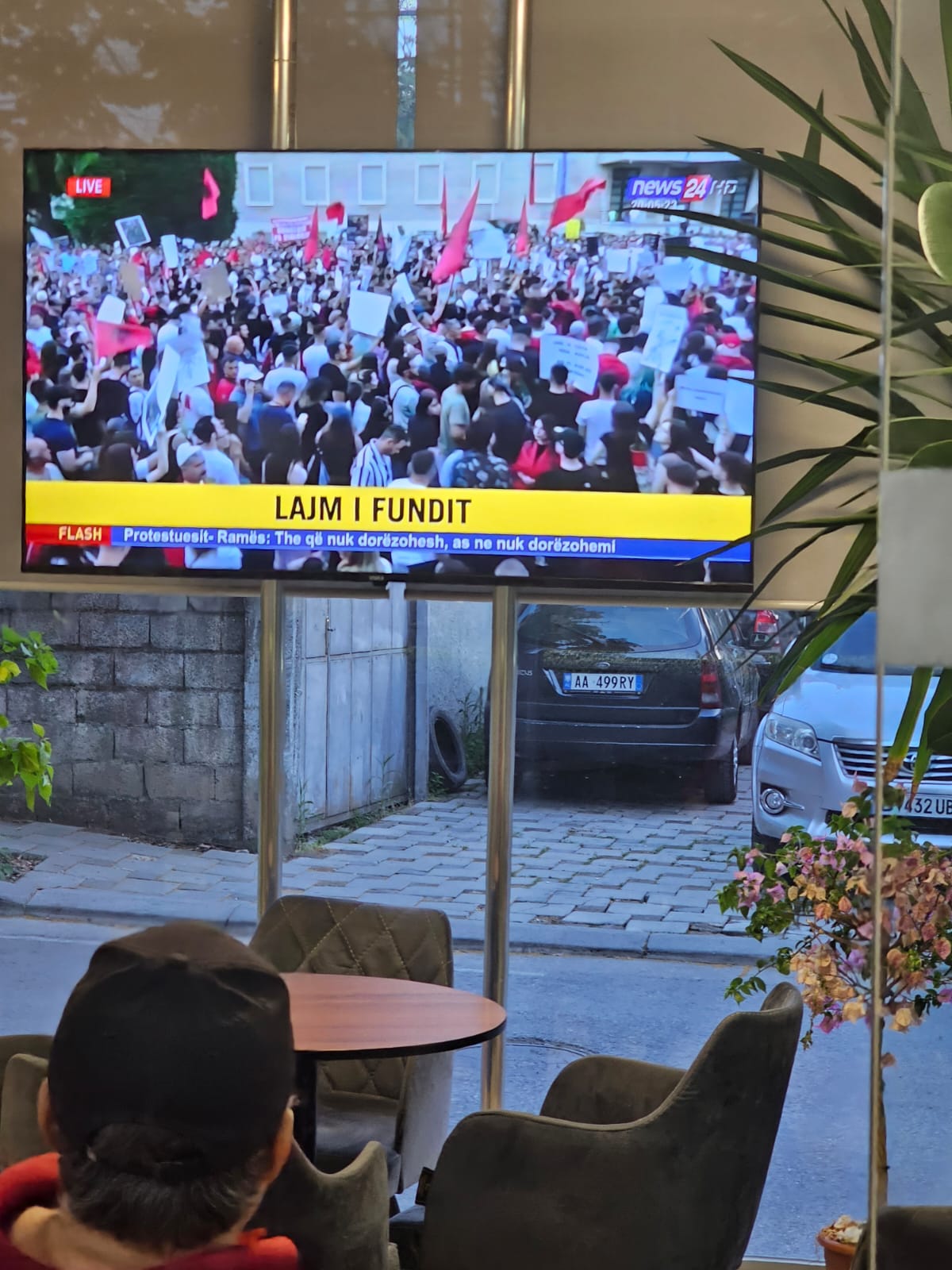 foto galeri 