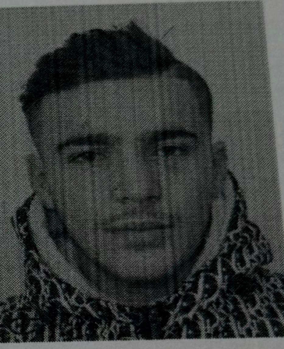 foto galeri 