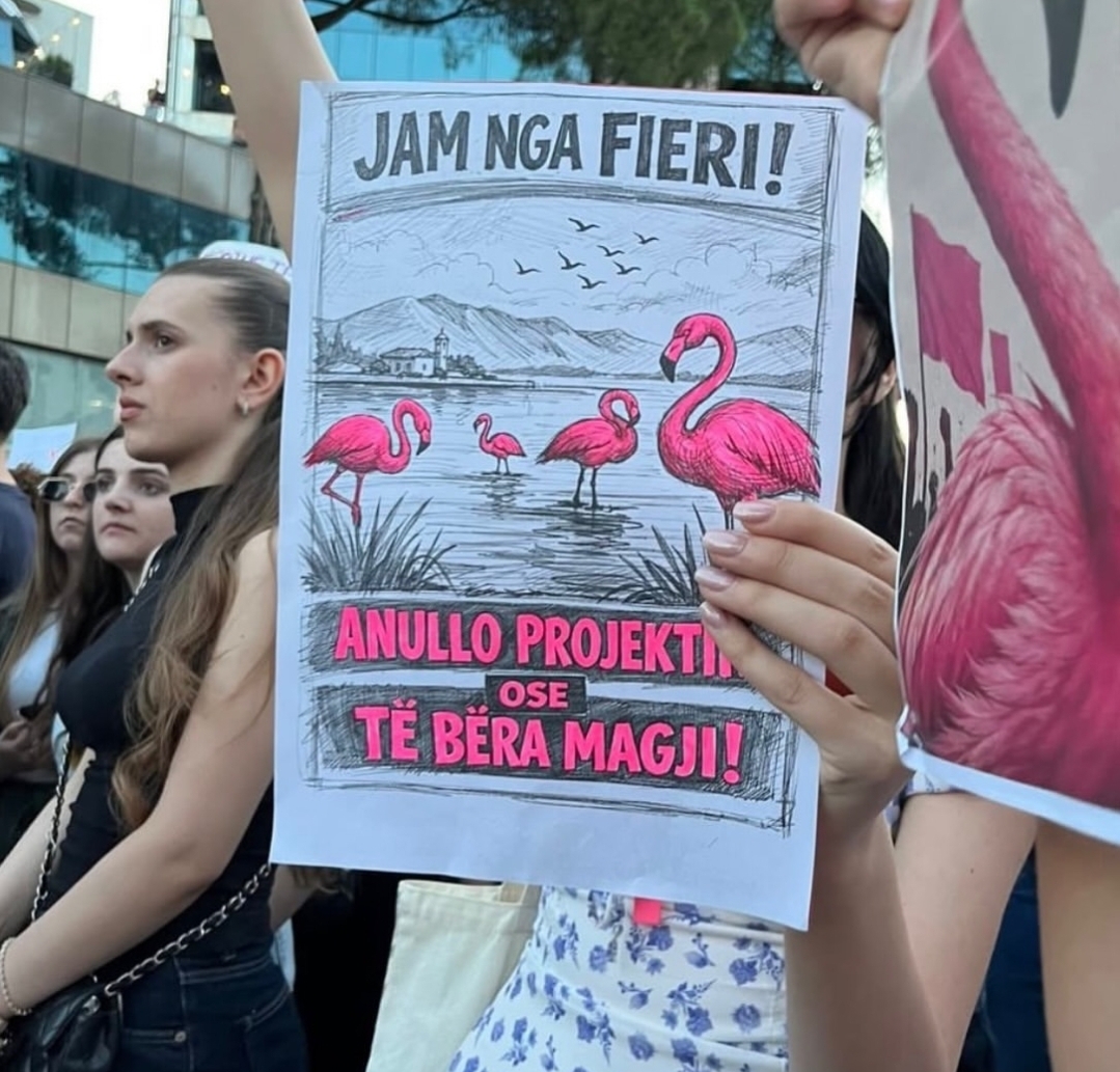 foto galeri 