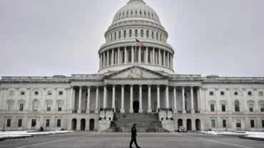Senati Amerikan