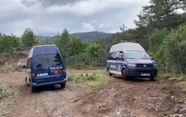 Vritet Polici Ne Maliq