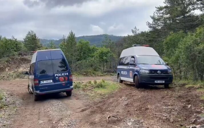Vritet Polici Ne Maliq