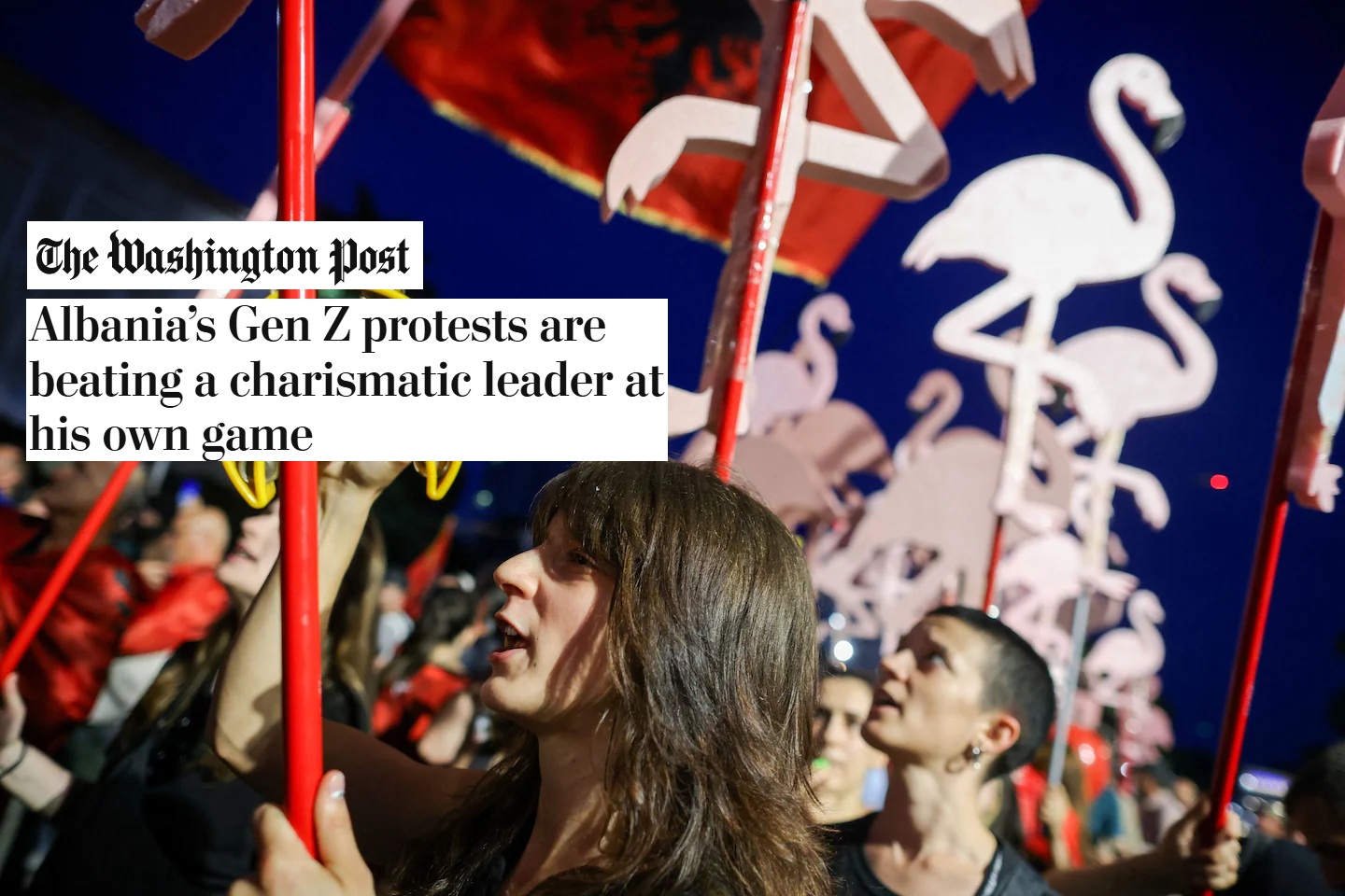  Të  armatosur  me meme dhe një maskotë flamingosh   Analiza në  Washington Post   Protestat e     