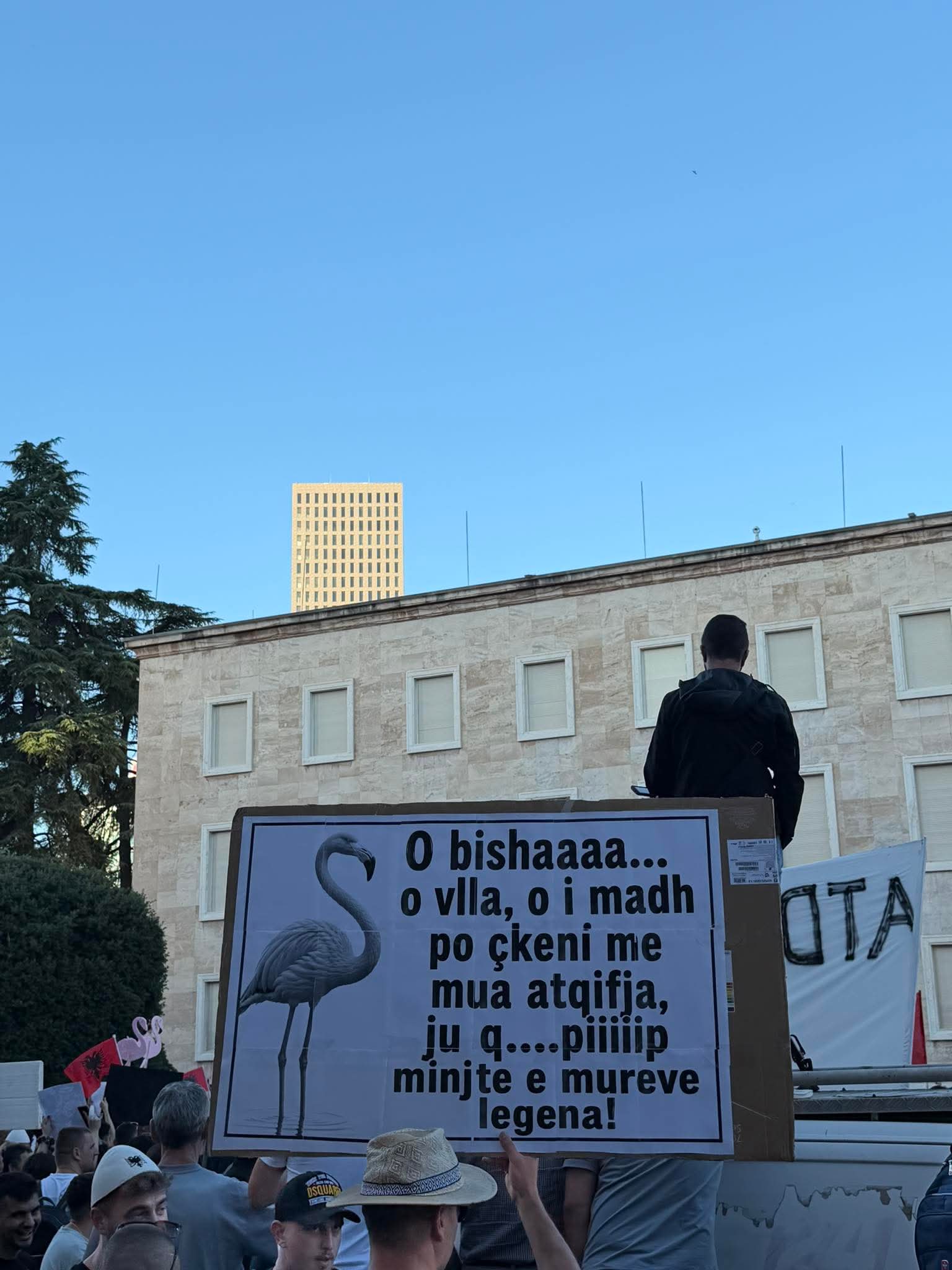 foto galeri 