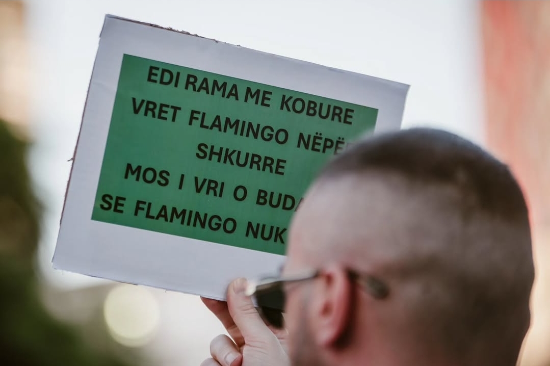 foto galeri 