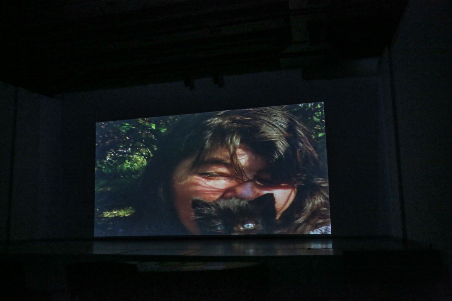 foto galeri 