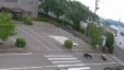 Ariu
