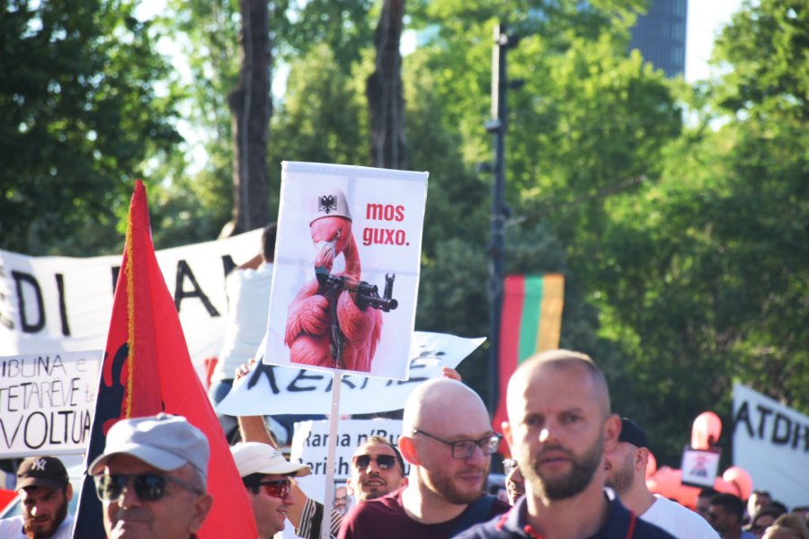 BIRN  Akademikët ndërkombëtarë mbështesin protestat masive në Shqipëri kundër qeverisë