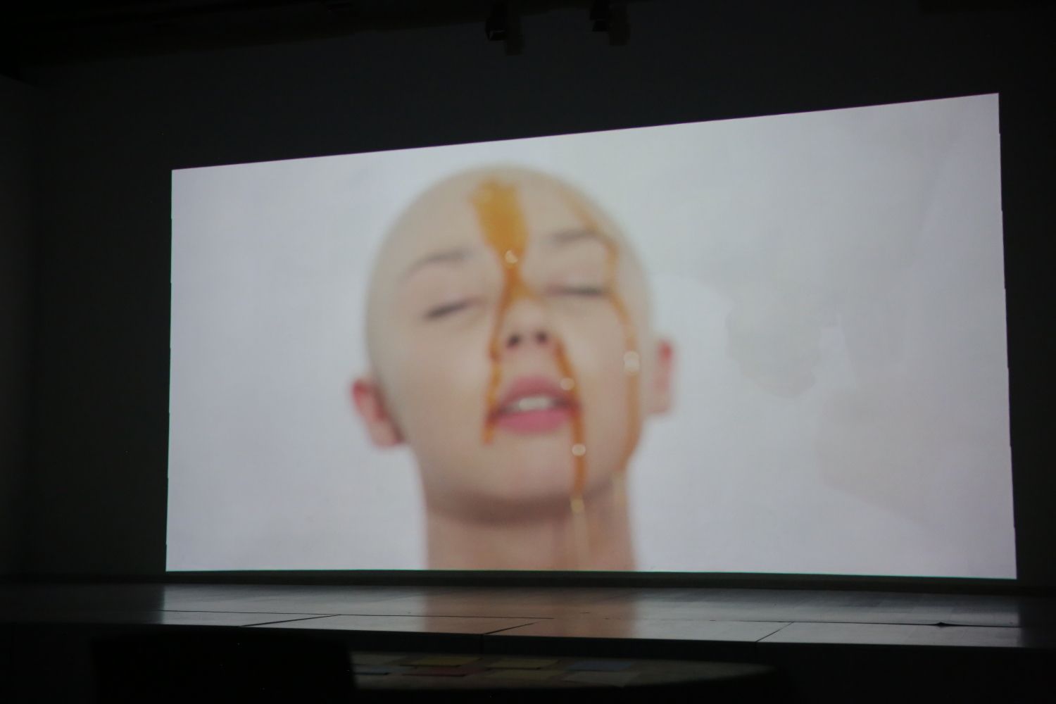 foto galeri 