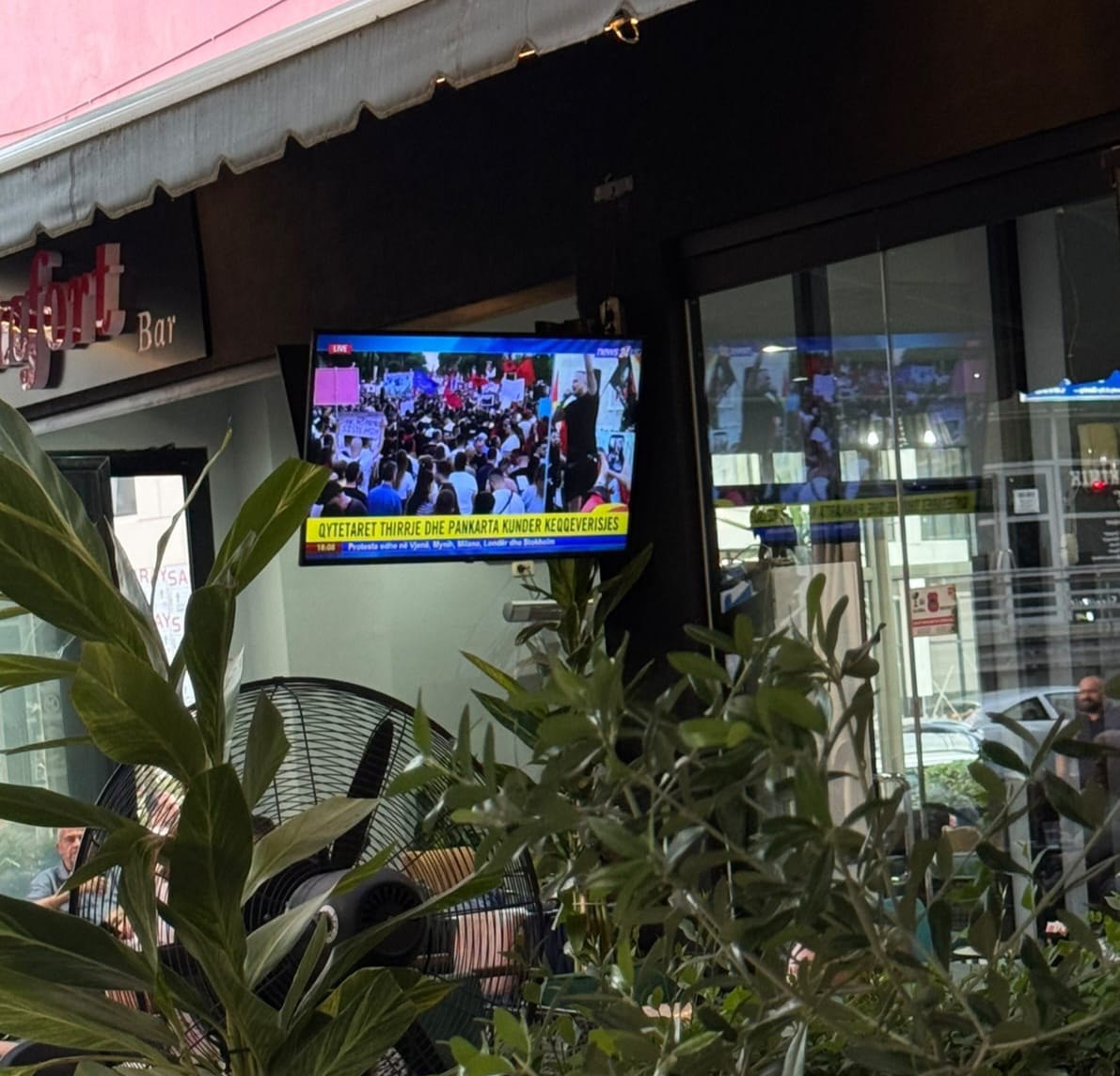 foto galeri 