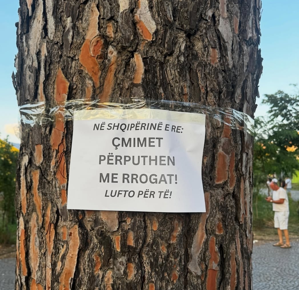 foto galeri 