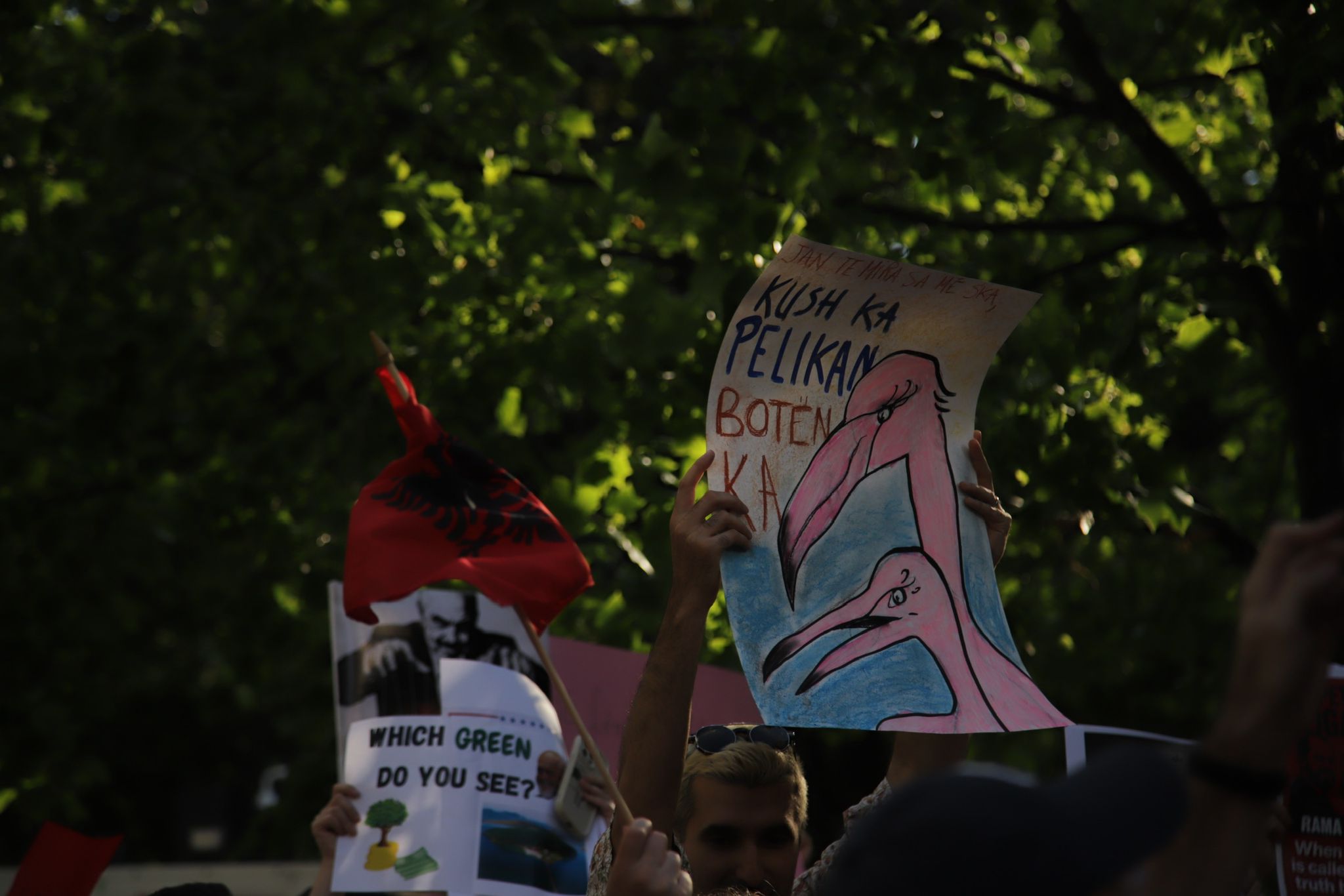 foto galeri 