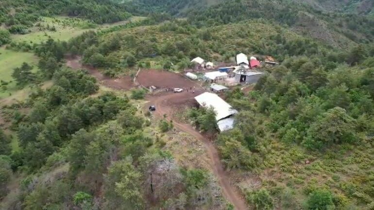 Dron