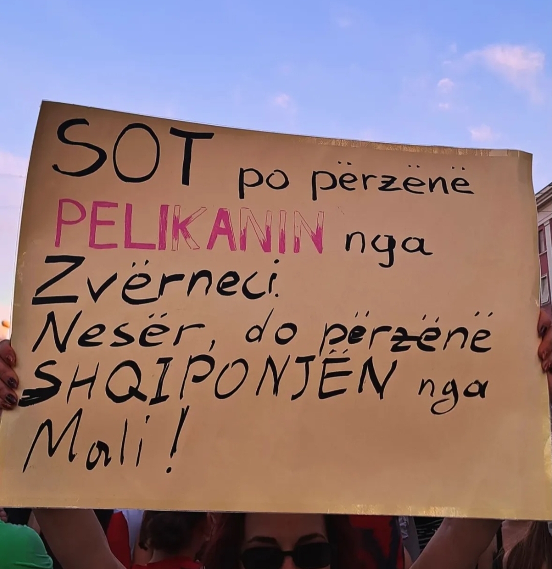 foto galeri 
