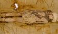 Eb271e04 Mummy Tyri