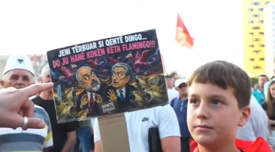  Jeni tërbuar si qentë Dingo  do t ju hanë kokën këta flamingo   Protesta e veçantë e vogëlushit  Mos hiqni dorë kurrë