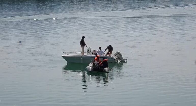 Liqen I Ulzes