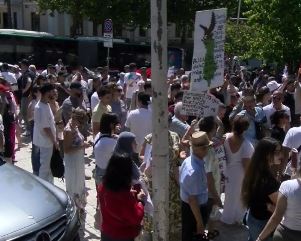 Protesta para Kuvendit  qytetarët sfidojnë temperaturat e larta  Parlamenti i krimit  Rama n burg  Berisha n burg 
