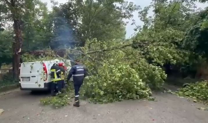 Rrëzime pemësh dhe probleme në rrugë  Reshjet e shiut dhe breshrit shkaktojnë pengesa në qarkun e Korçës  Fshatrat e Pustecit    