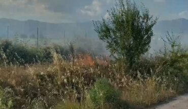 Zjarr