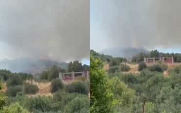 Zjarr Vloer