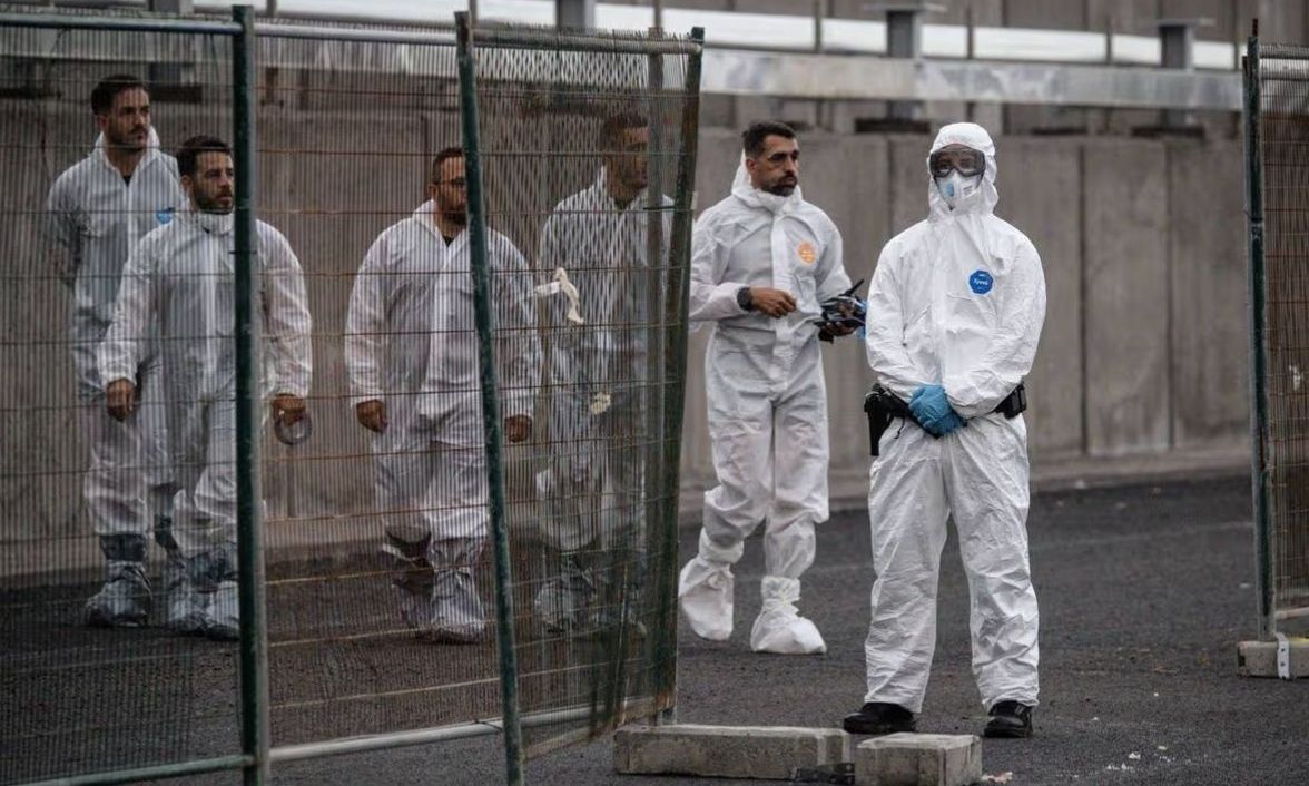 Alarm në Kili  Dhjetëra raste me Hantavirus  frikë për përhapjen e virusit vdekjeprurës