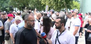 Protestuesi