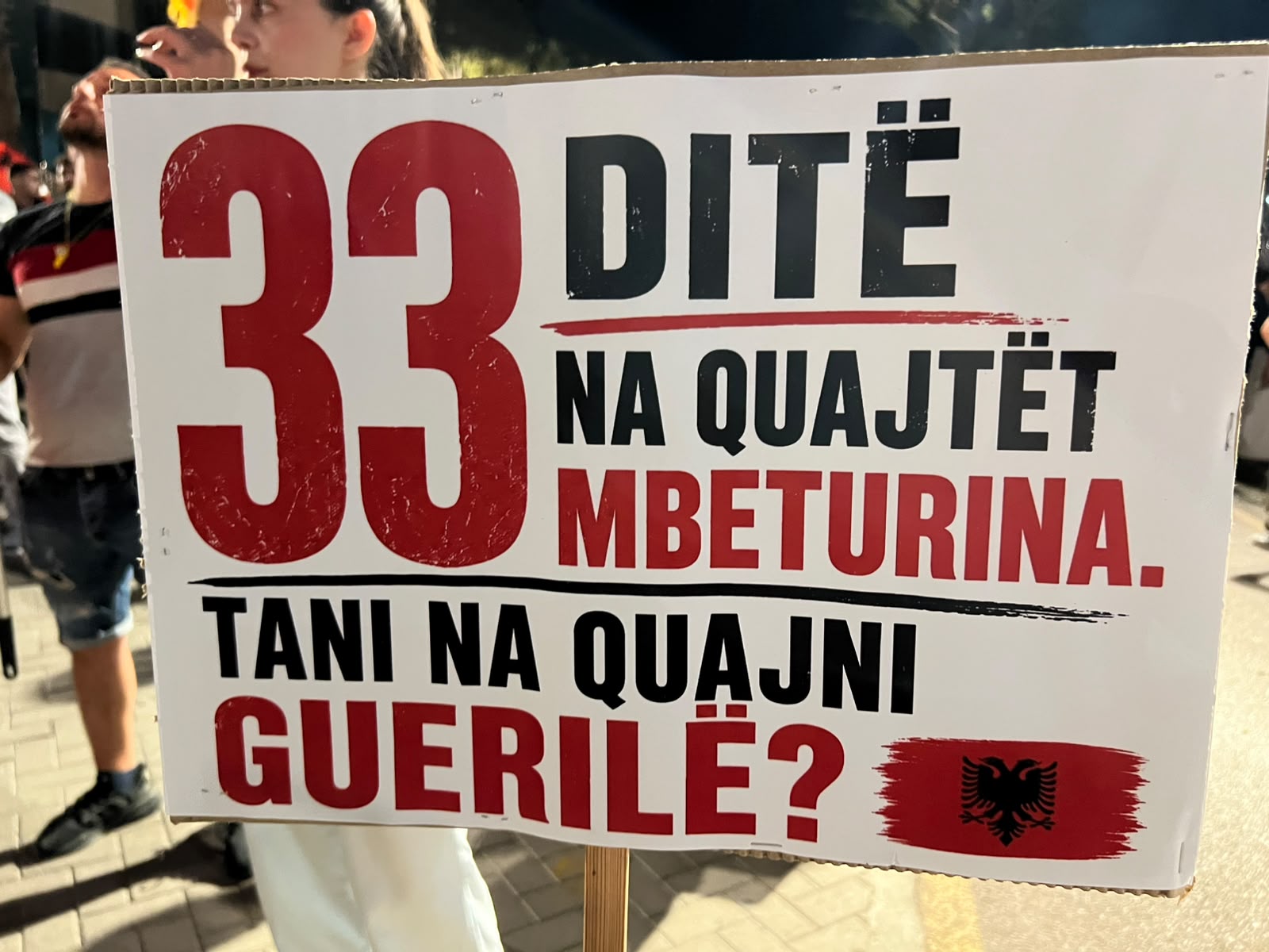foto galeri 